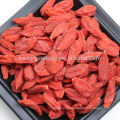 Importação de bagas de goji secas bagas de goji goji comida original Ningxia wolfberry